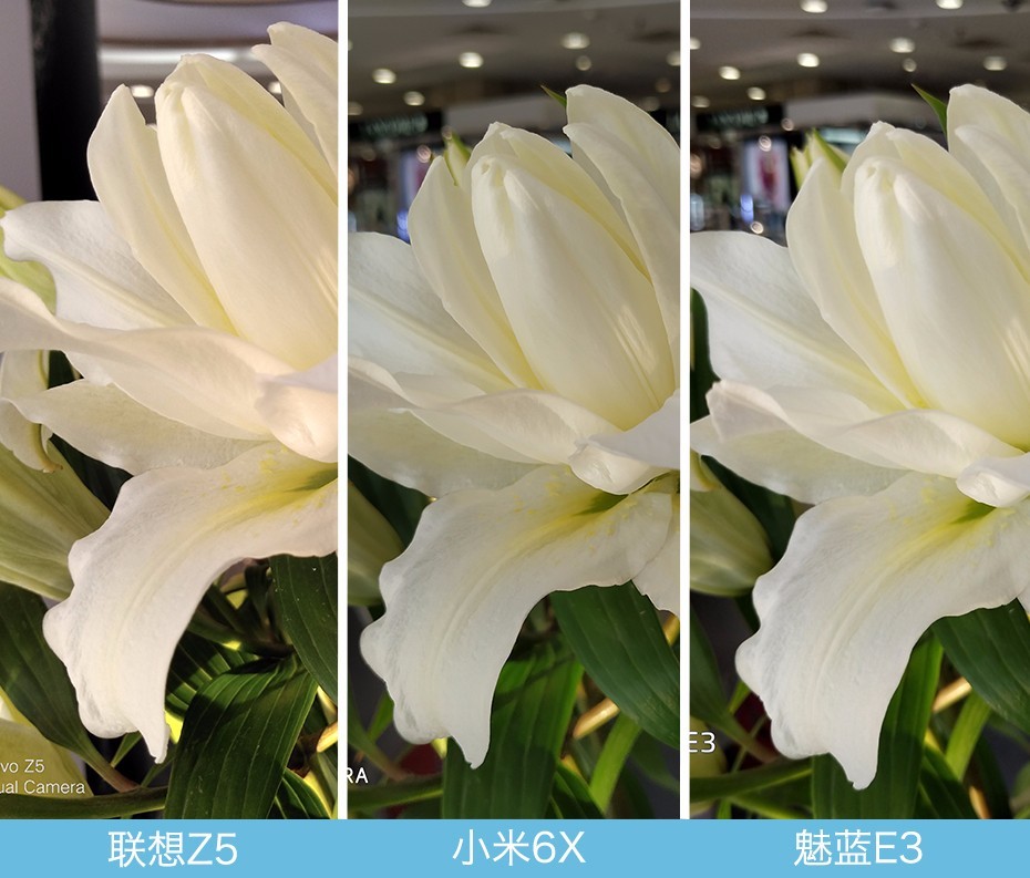 聯想Z5、小米6X、魅藍E3拍照對比評測 千元機相機對決