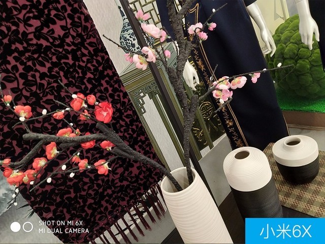 聯想Z5、小米6X、魅藍E3拍照對比評測 千元機相機對決