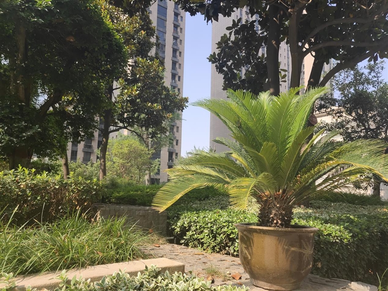 首發(fā)升降式相機 vivo NEX評測：這才是未來的手機