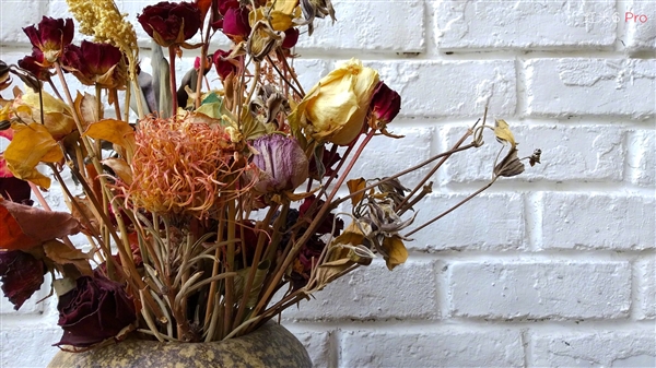 999元起！紅米6 Pro正式發布：小劉海＋4000mAh