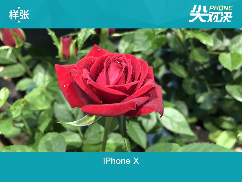 vivo NEX和iPhone X哪個好 蘋果iPhoneX對比vivoNex區別