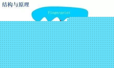 小米8透明探索版不完全拆解:我們發現了一個秘密