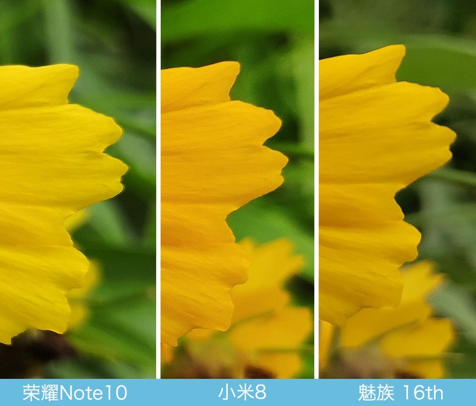魅族16、小米8、榮耀Note10拍照對比評測 國產旗艦相機對決