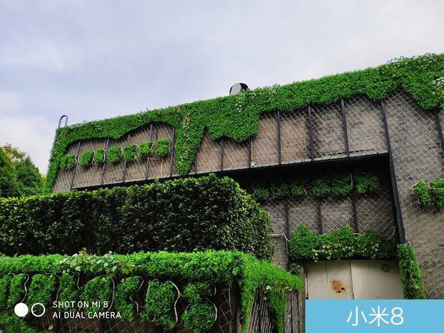 魅族16、小米8、榮耀Note10拍照對比評測 國產旗艦相機對決