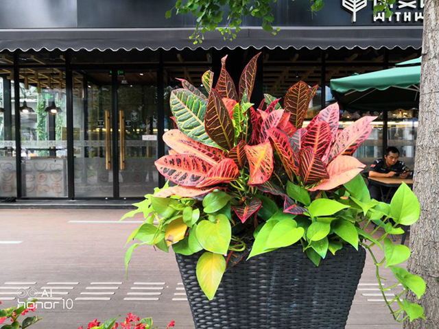 榮耀10GT 8GB版實測：大內存就究竟能帶來多大提升？