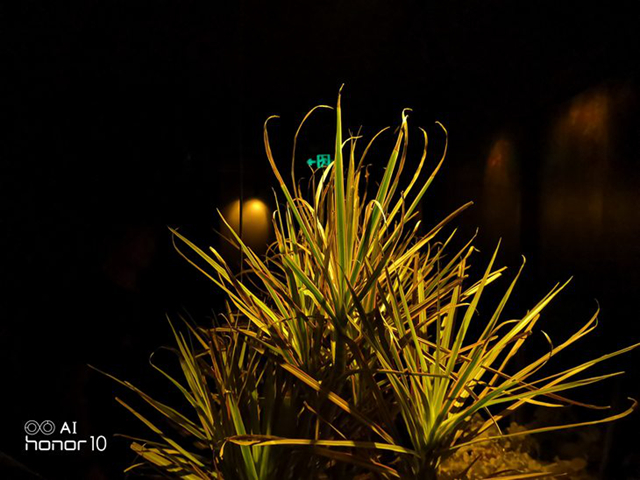 榮耀10GT 8GB版實測：大內存就究竟能帶來多大提升？