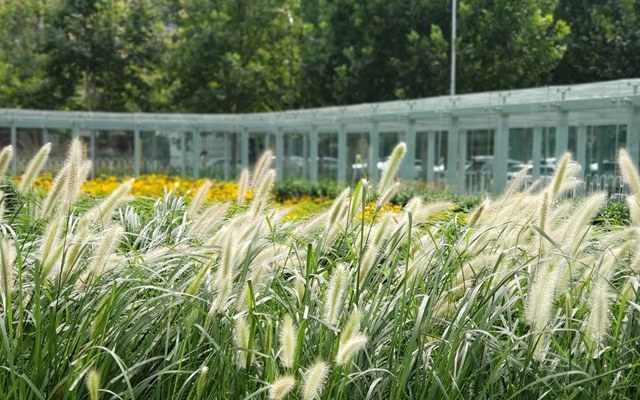 三星Note9值得買嗎 三星Note9全面評(píng)測