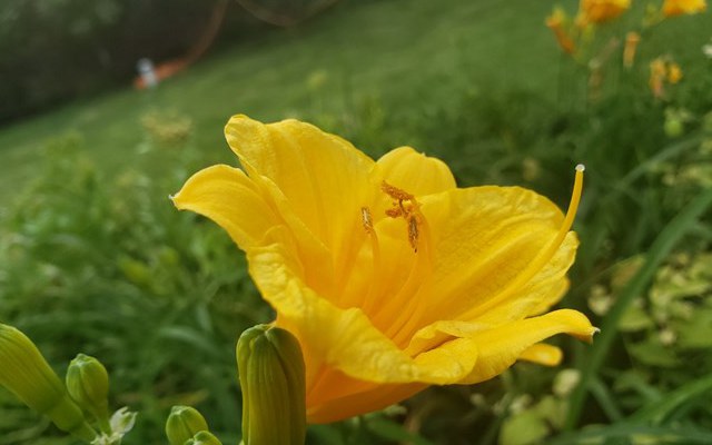 三星Note9值得買嗎 三星Note9全面評(píng)測