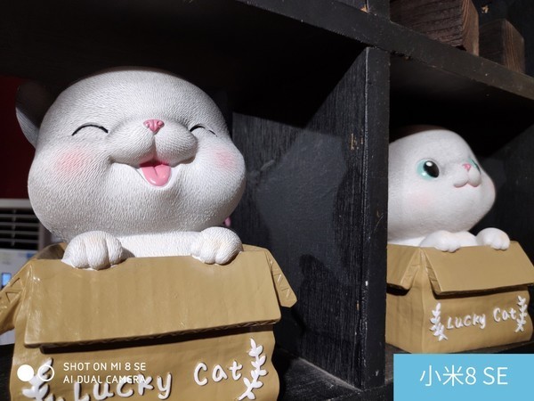 堅(jiān)果Pro2s和小米8se哪個(gè)好？堅(jiān)果Pro2s對(duì)比小米8se區(qū)別評(píng)測(cè)