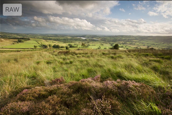 深入了解蘋果iOS 12新功能:原生相冊的新奇玩意