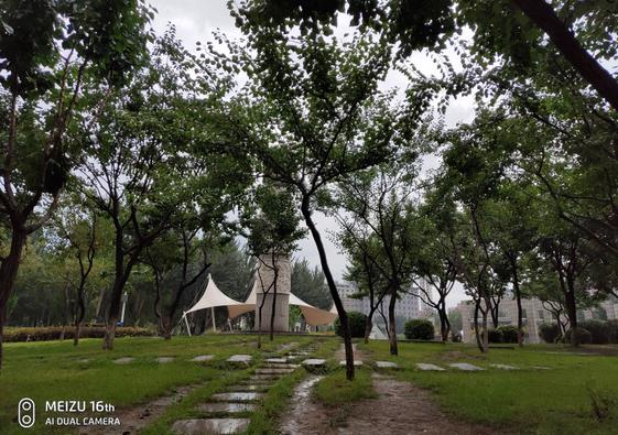 小米MIX3和魅族16拍照對比