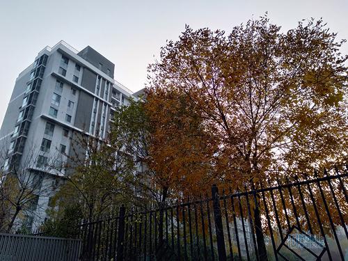 OPPO A7上手體檢:顏值與性能兼得