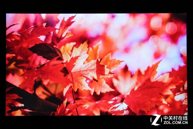 優(yōu)派VP2458顯示器評測