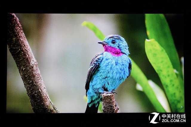 優(yōu)派VP2458顯示器評測