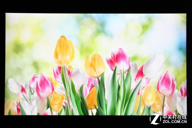 優(yōu)派VP2458顯示器評測