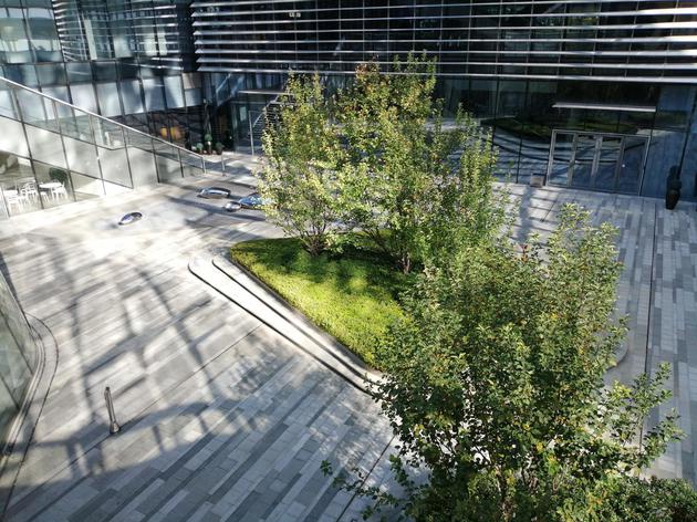 華為暢享9Plus和小米8SE哪個好?暢享9Plus和小米8SE對比區(qū)別