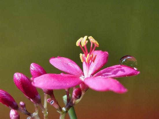 華為P30拍照怎么樣 華為P30與華為P30 Pro拍照評測