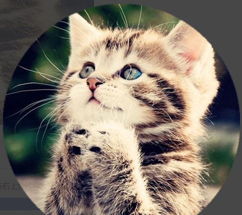 美圖秀秀怎么摳圖？美圖秀秀對圖片進(jìn)行圓形摳圖的教程